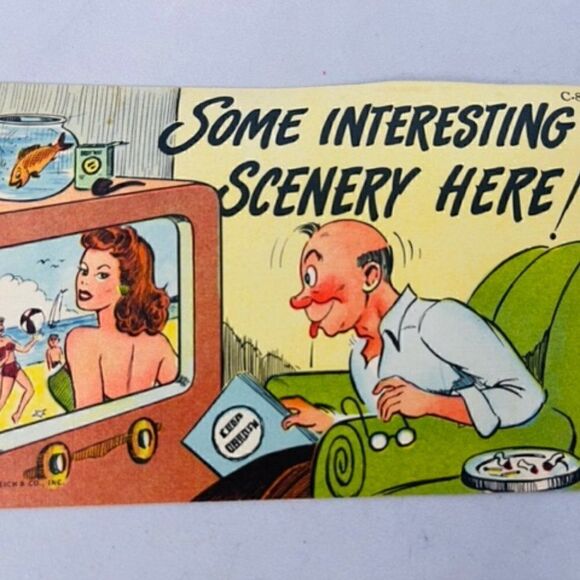 4 Vintage Comedy Postcard   The Informer Trailer Camp Home LINEN UNPOSTED TEICH - Picture 3 of 6